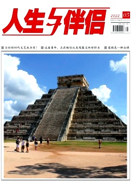 人生与伴侣封面